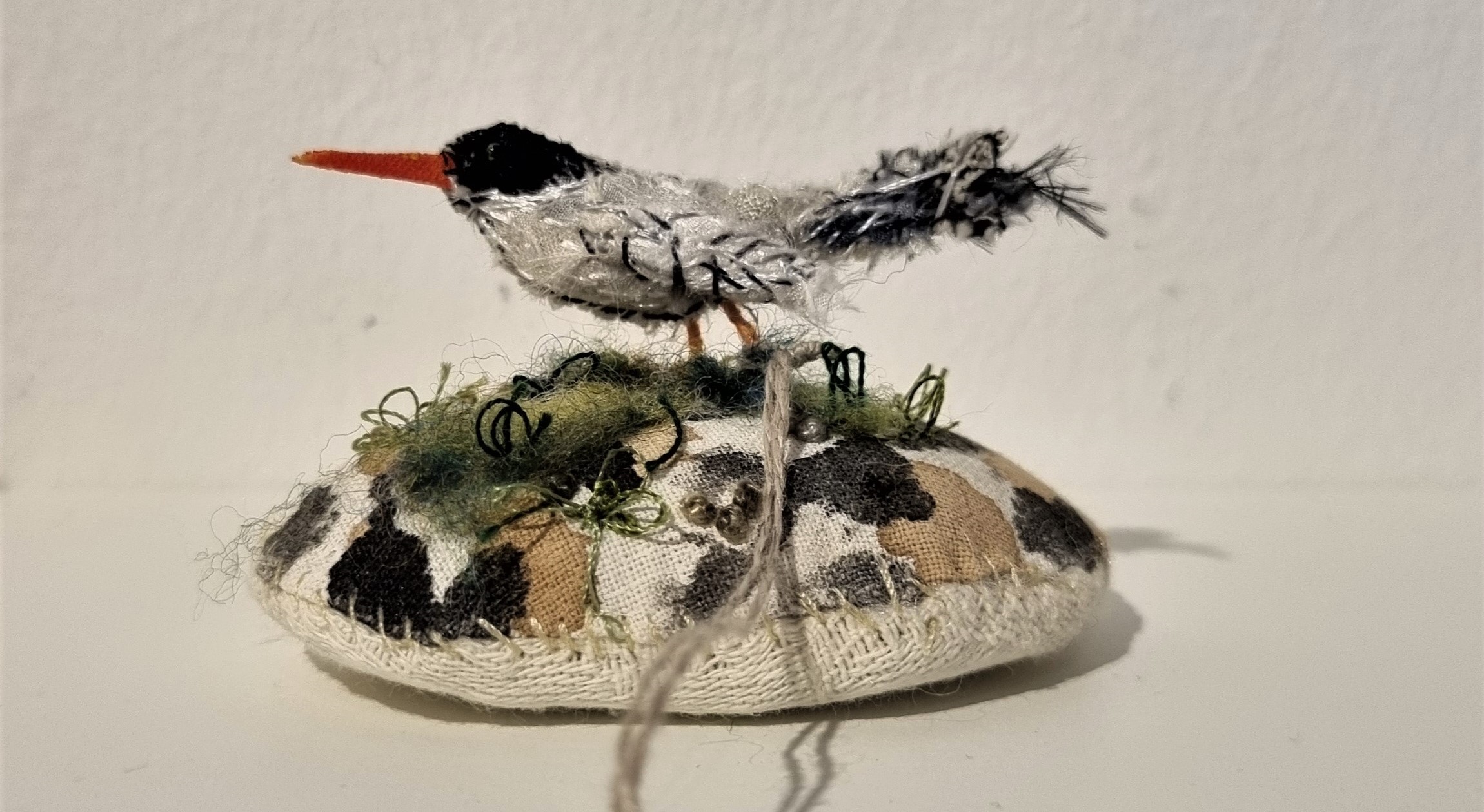 Common Tern by Sue Bibby