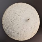 Ju-cheol Yun, Cheomjang 181020, 2018, white slip (built up), pigment, gold, glazed, 32 x 30 x 30 cms, Korea Craft and Design Foundation, Photo: Emma Boden