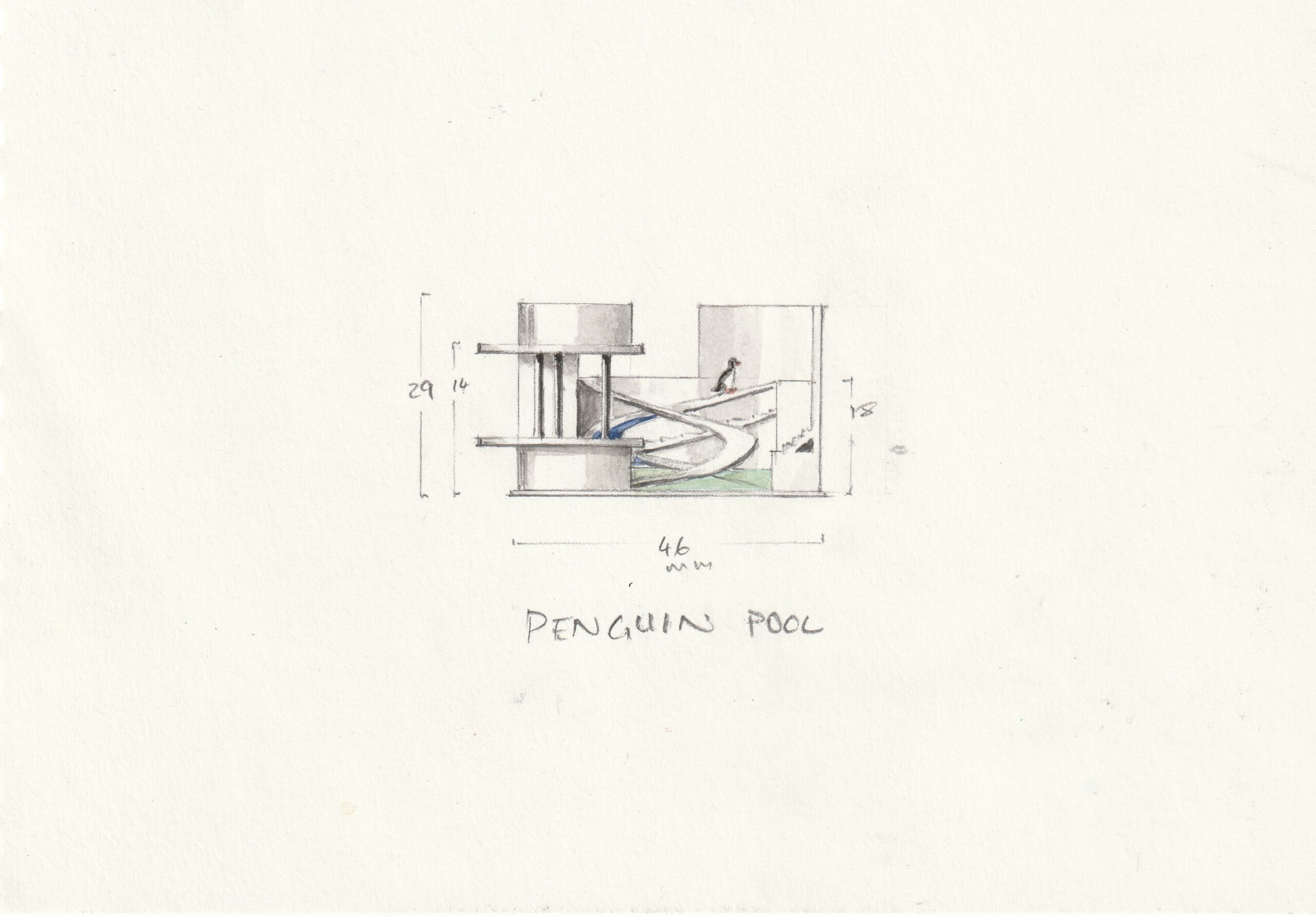 Vicki Ambery's Smith's Penguin Pool Sketch