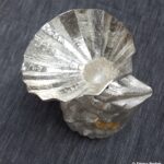 Silver work with distinctive patterning by Yusuke Yamamoto on display, © Armadillo Central, 2017