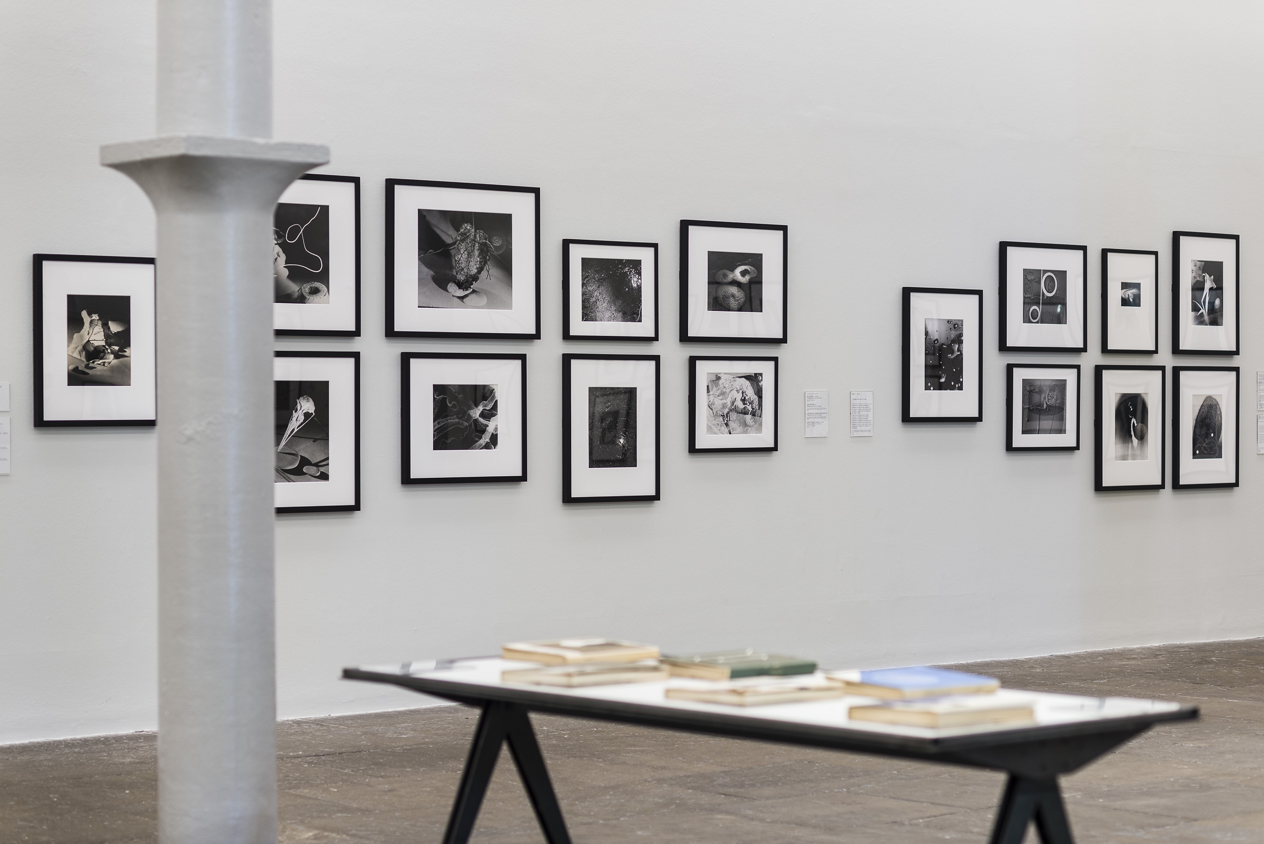 György Kepes solo show 2015 © Tate Liverpool