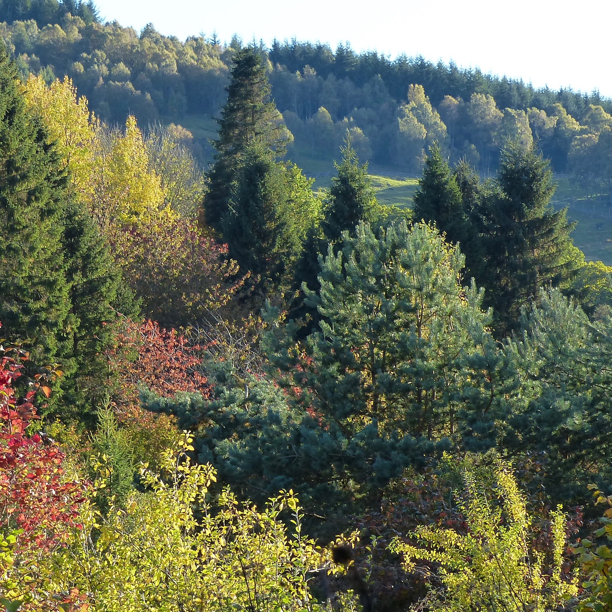 Grandtully © Philippa Swann