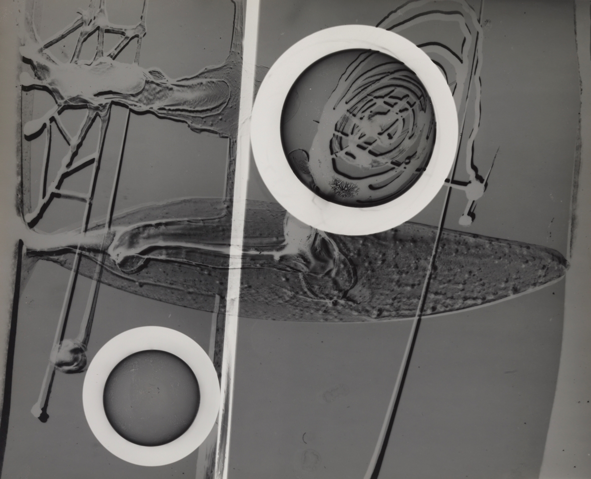 György Kepes, 1906-2001, Bas Relief with Circles c. 1939-40, Photograph, gelatin silver print on paper, 281 x 348 mm, © estate of György Kepes