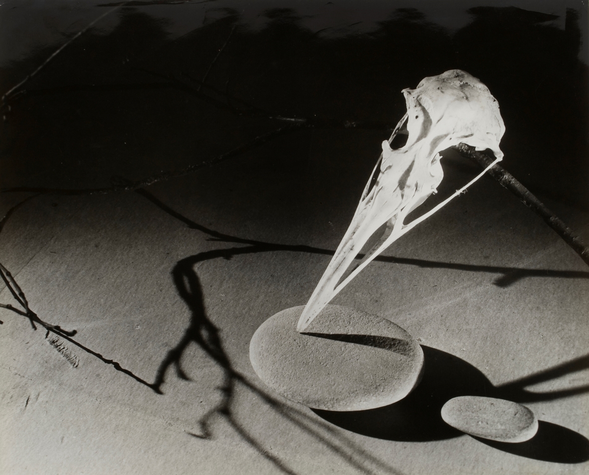 György Kepes, 1906-2001, Bone Fragment, Stone, Shadow c.1939-1940, image: 411 x 504 mm, © estate of György Kepes. Image courtesy Wilson Centre for Photography.