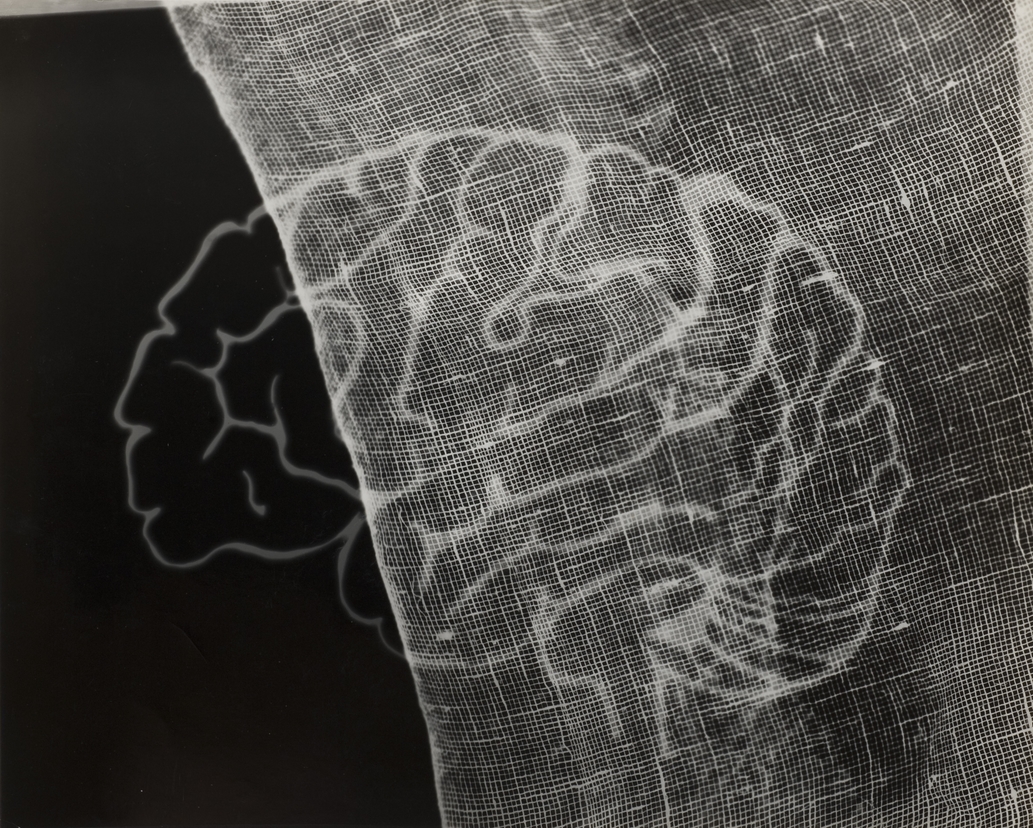 György Kepes, 1906-2001, Gauze and Brain, Photogram c.1939-1940, image: 204 x 252 mm, © estate of György Kepes. Image courtesy Wilson Centre for Photography