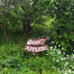 Chez Swann Appleby, © Armadillo Central, 2017