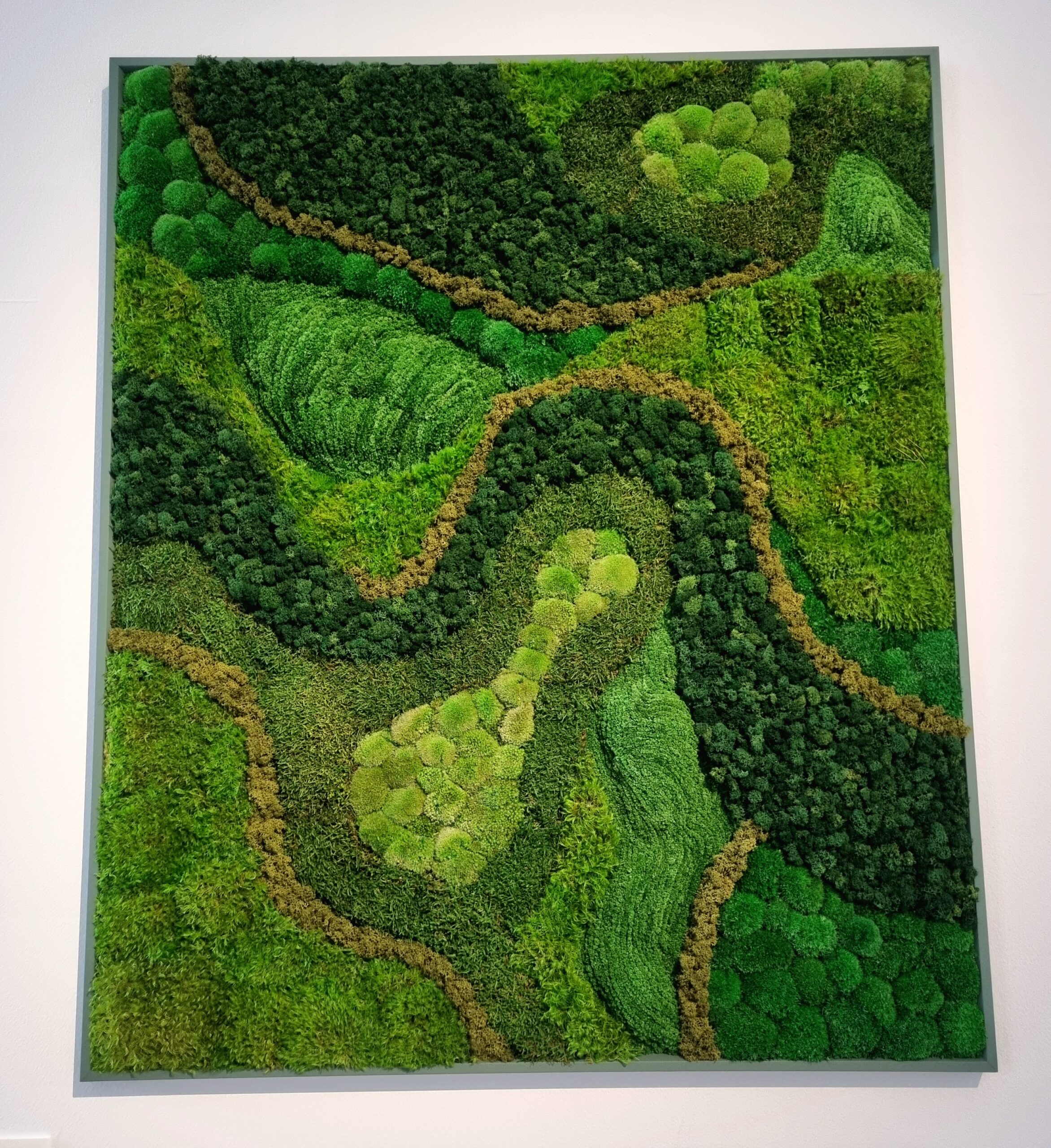 Paola di Legge, Grounded Perspectives, sustainably harvested and preserved moss, represented by Design and Crafts Council Ireland