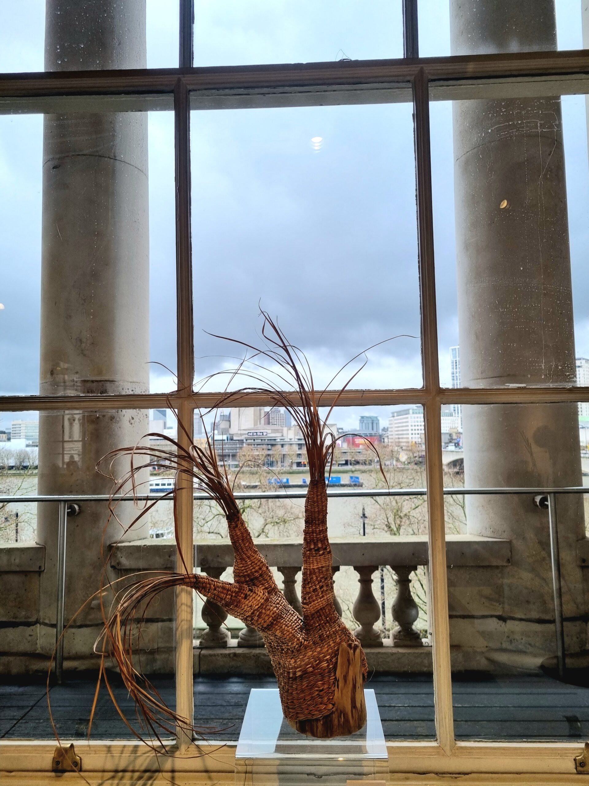 Ralph Simpson, Regeneration 1, driftwood fencepost butt, Dracen sp., day lily, Siberian iris, papyrus, hemp and silk thread, 66x69x43, Craft Alliance Atlantic Association