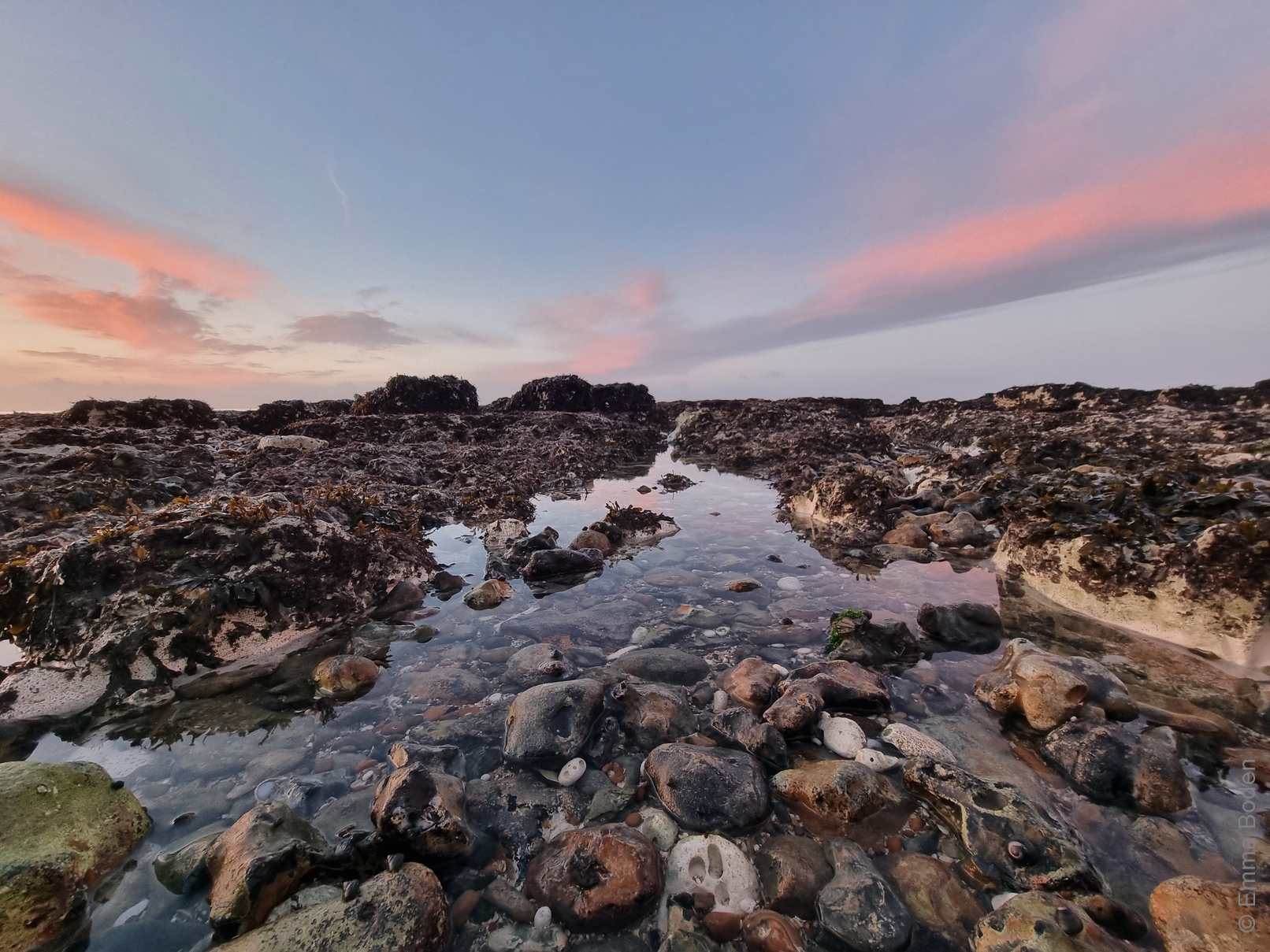 Saltdean Seaweed © Emma Boden Armadillo Central Algae Rhythms