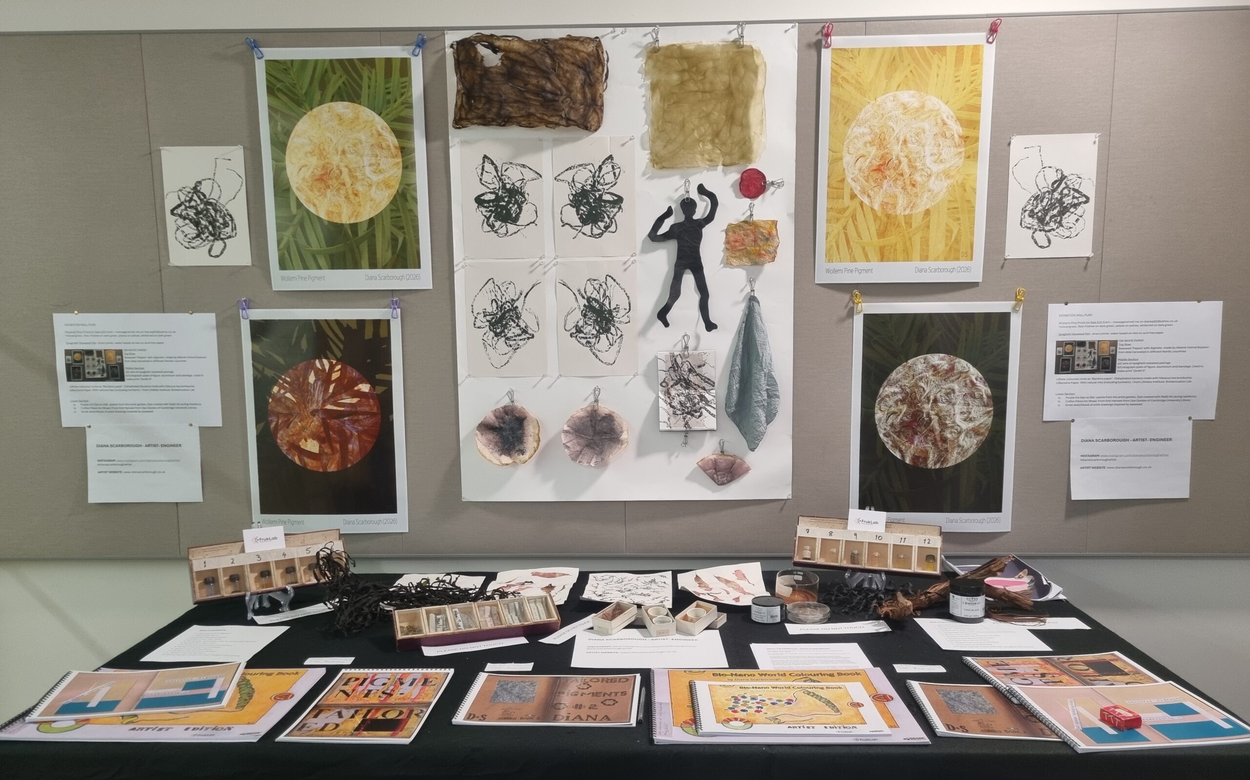 A collage for Diana Scarborough's Eco-Conscious Colour exhibition, Cambridge Festival, March 2026