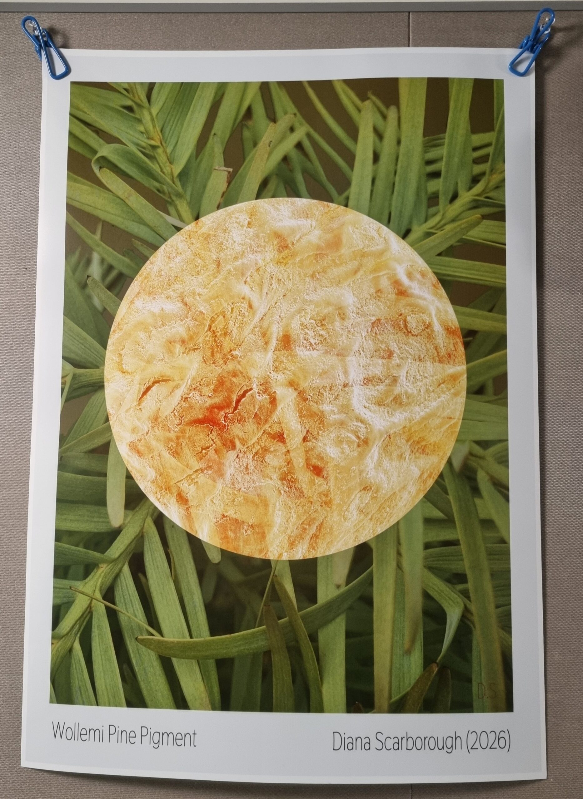 Wollemi Pine Pigment digital print poster by Diana Scarborough