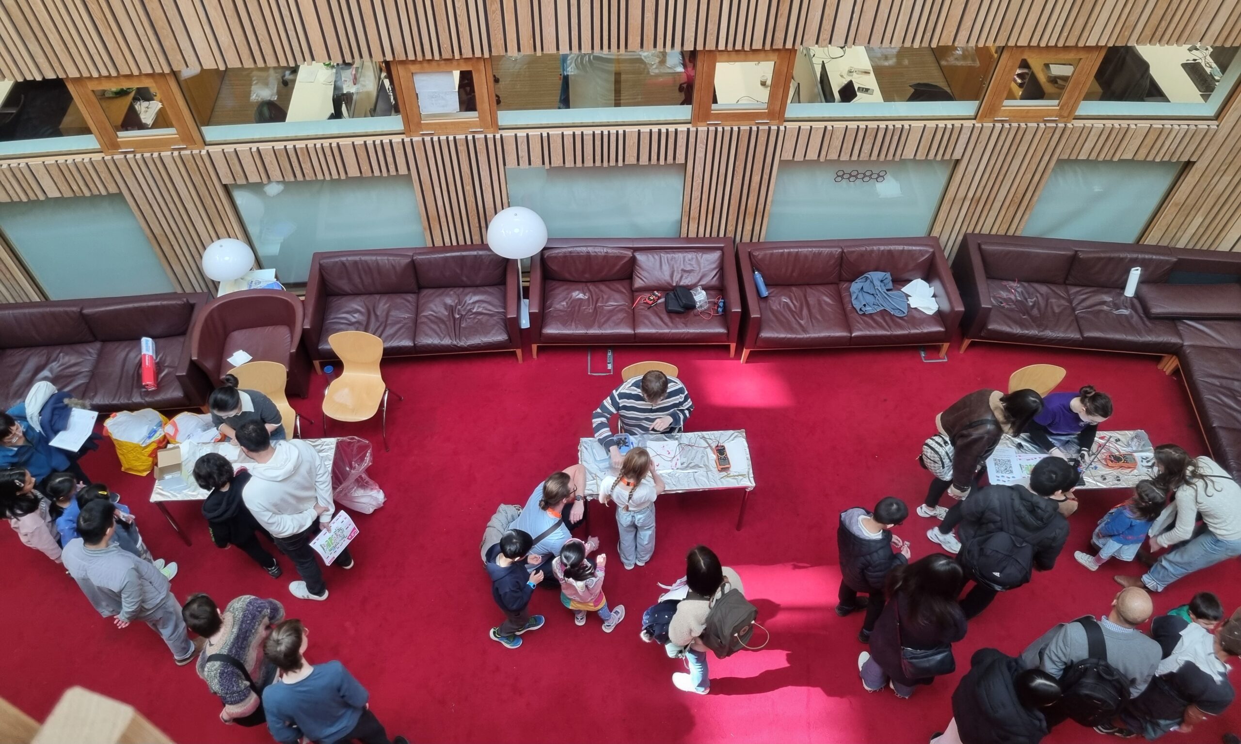 Stranks Lab's hands on berry solar cell demo, viewed from above © Armadillo Central